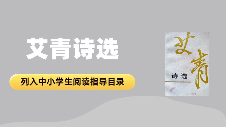 艾青诗选