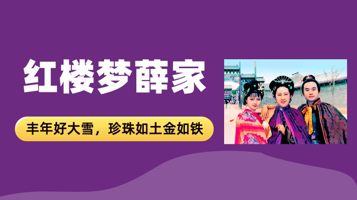 红楼梦薛家