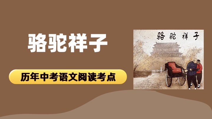 骆驼祥子