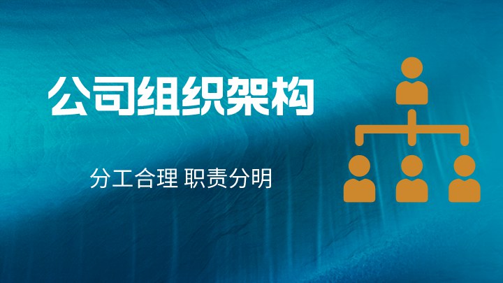 公司组织架构
