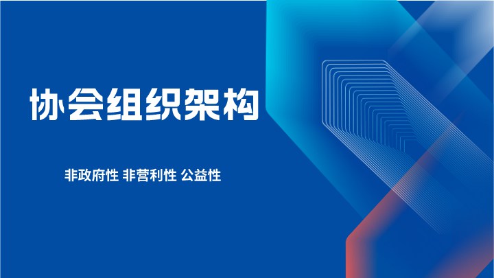 协会组织架构