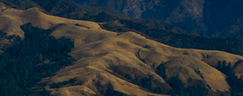 李聪是个葱33333%%%%%%%%