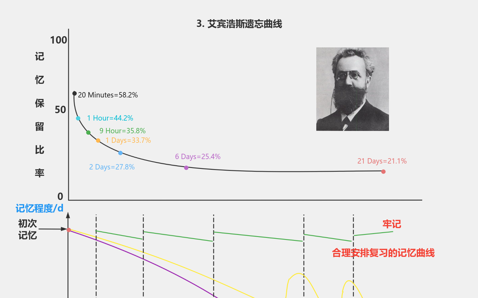 艾宾浩斯遗忘曲线流程图模板_ProcessOn思维导图、流程图
